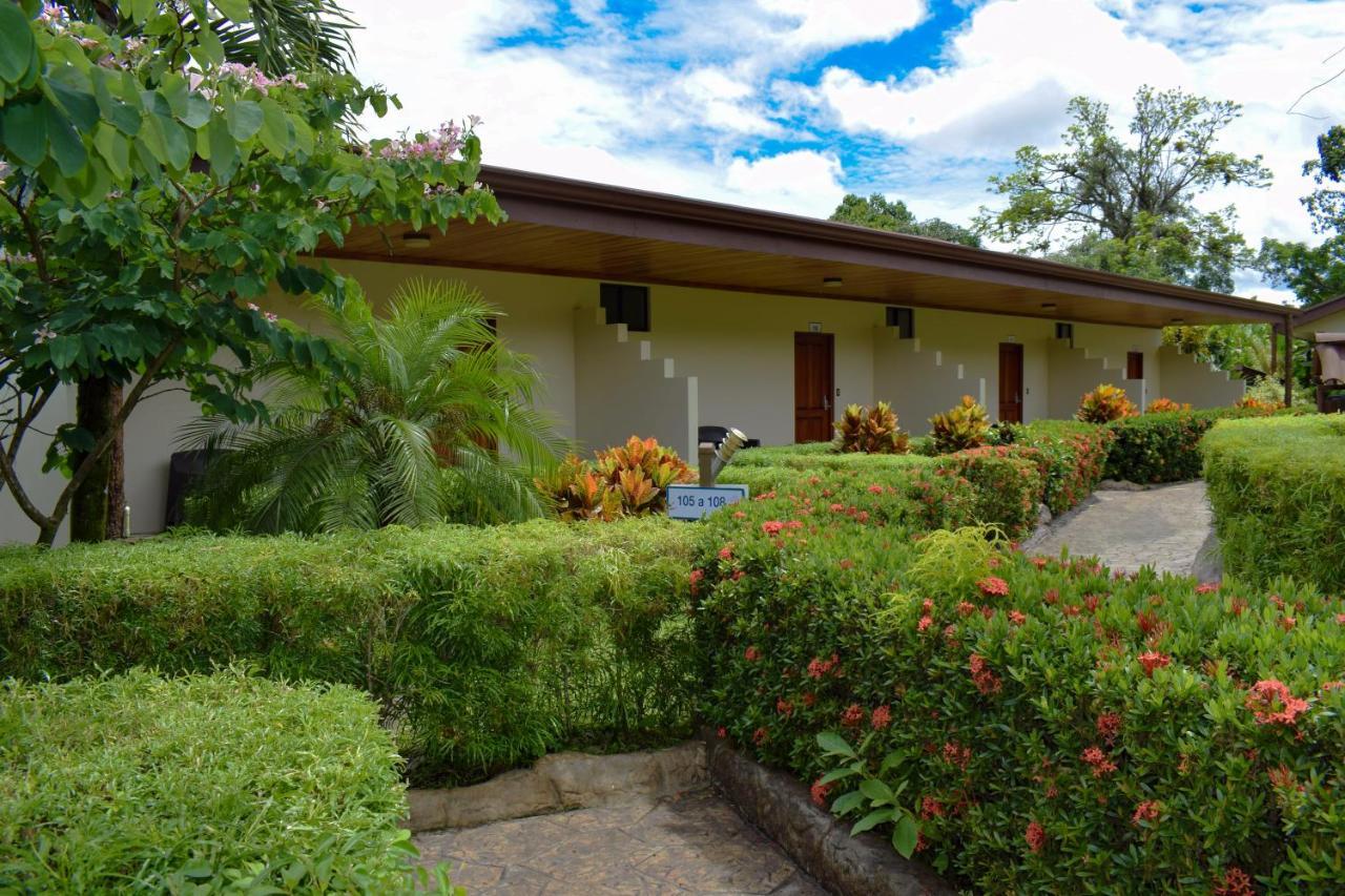 Habitación Superior